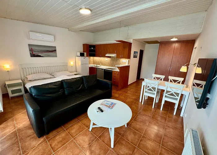 Apartman Nova Tyrsova *